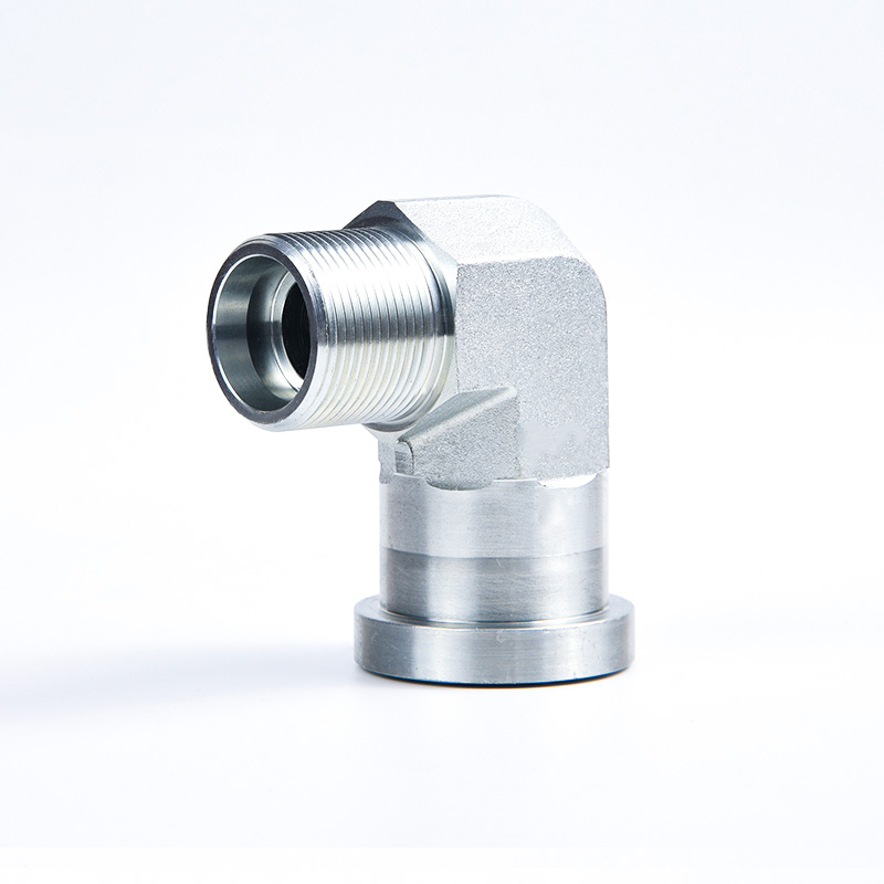 1DFS  1CFL  GFS ISO6162 Flange fitting